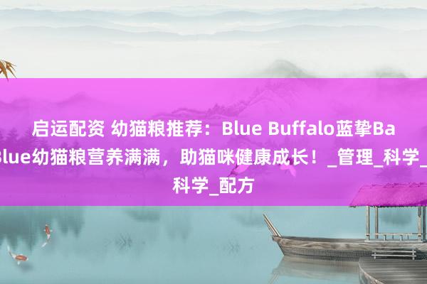 启运配资 幼猫粮推荐：Blue Buffalo蓝挚Baby Blue幼猫粮营养满满，助猫咪健康成长！_管理_科学_配方