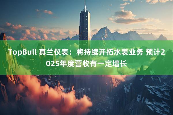 TopBull 真兰仪表：将持续开拓水表业务 预计2025年度营收有一定增长