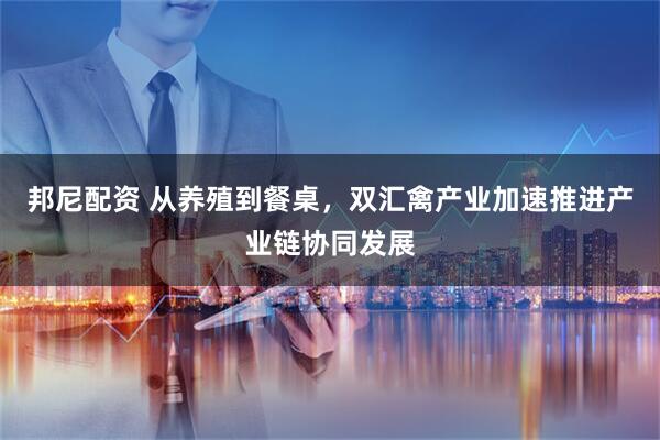 邦尼配资 从养殖到餐桌，双汇禽产业加速推进产业链协同发展