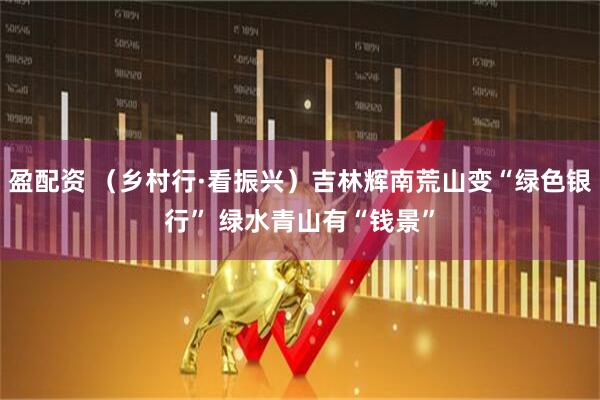 盈配资 （乡村行·看振兴）吉林辉南荒山变“绿色银行” 绿水青山有“钱景”