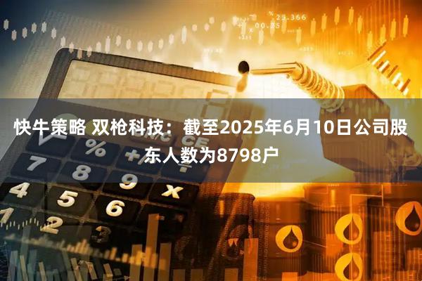 快牛策略 双枪科技：截至2025年6月10日公司股东人数为8798户