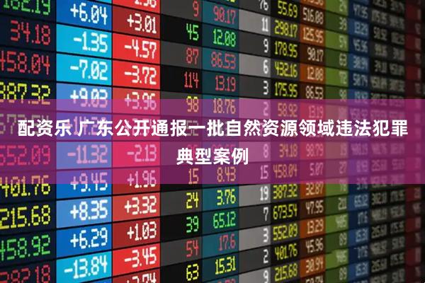 配资乐 广东公开通报一批自然资源领域违法犯罪典型案例
