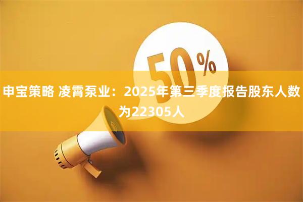 申宝策略 凌霄泵业:2025年第三季度报告股东人数为22305人