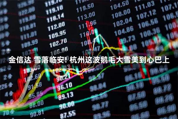 金信达 雪落临安! 杭州这波鹅毛大雪美到心巴上